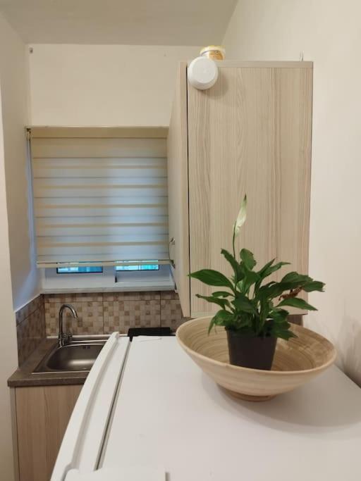 Esteticaapartments Rhodes City Eksteriør bilde