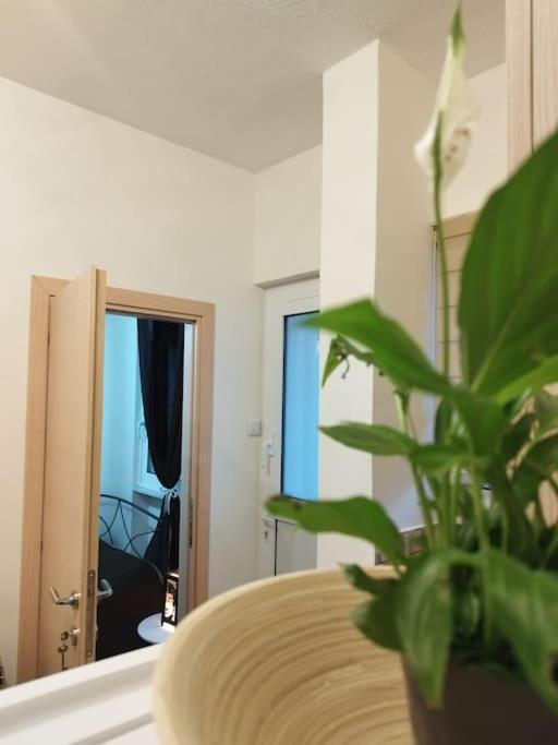 Esteticaapartments Rhodes City Eksteriør bilde